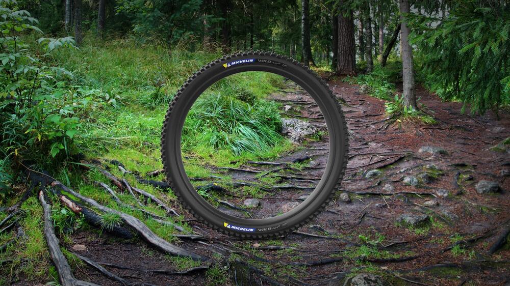 Opona MICHELIN WILD AM2 Przednia i tylna Cechy i zalety-2 16/9