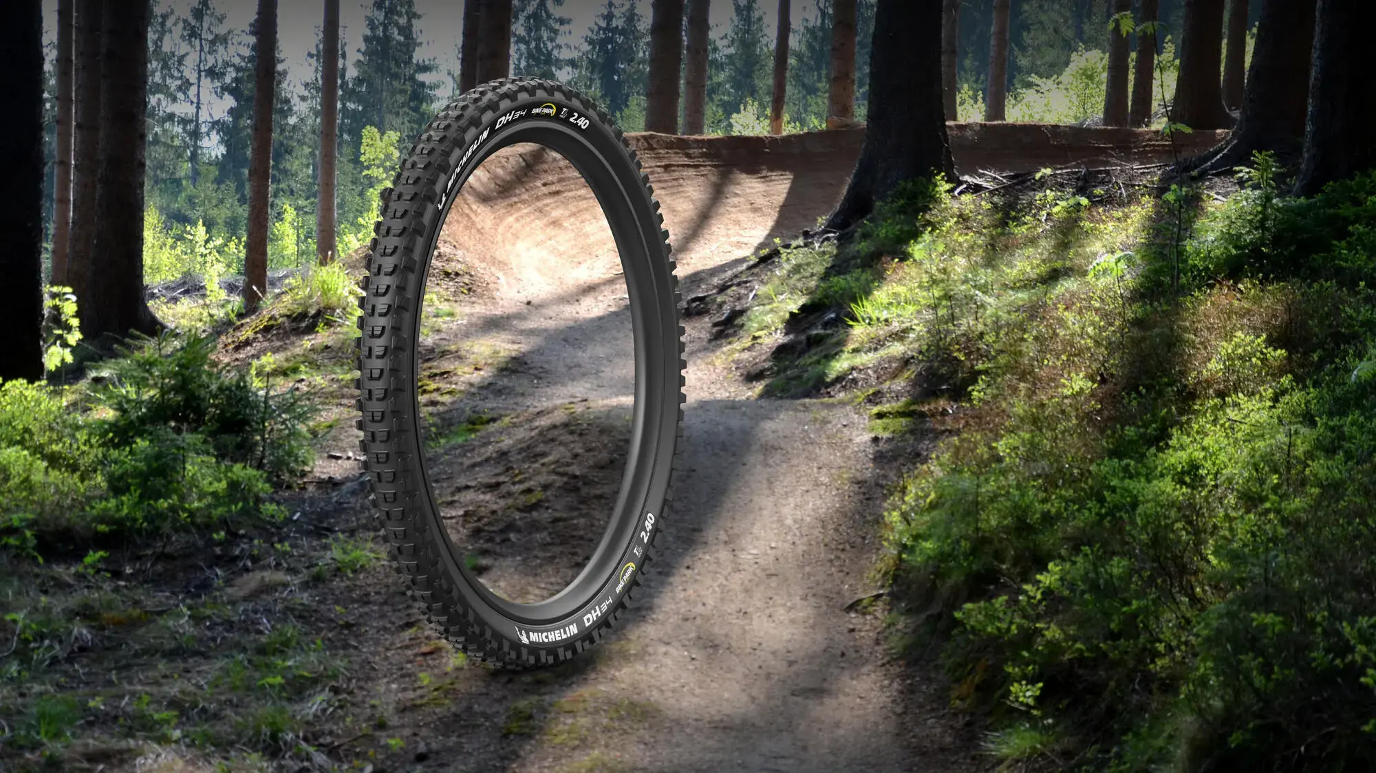 bi-105_tire_michelin-dh34-bike