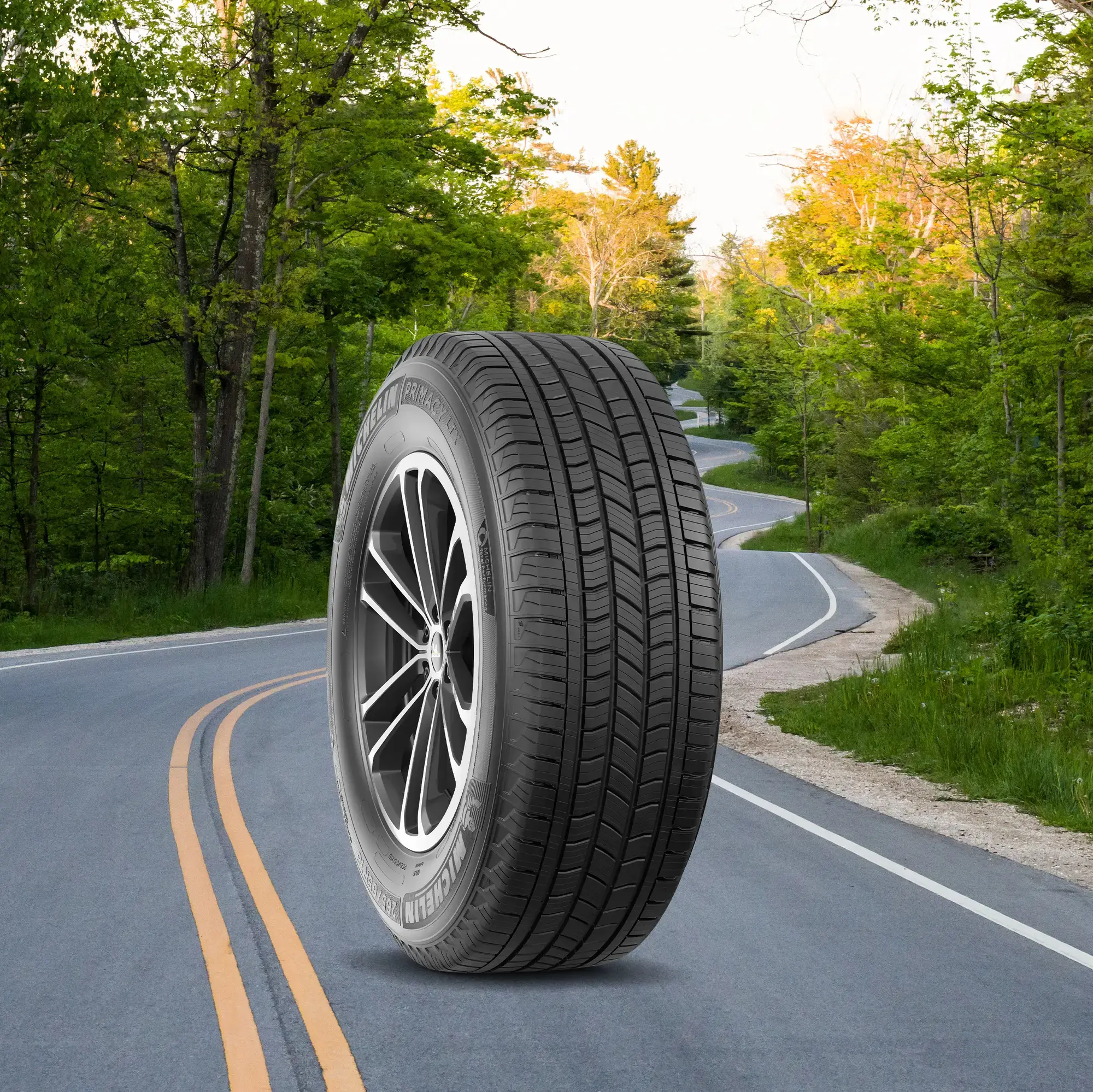 4w-355_tire_michelin_primacy-