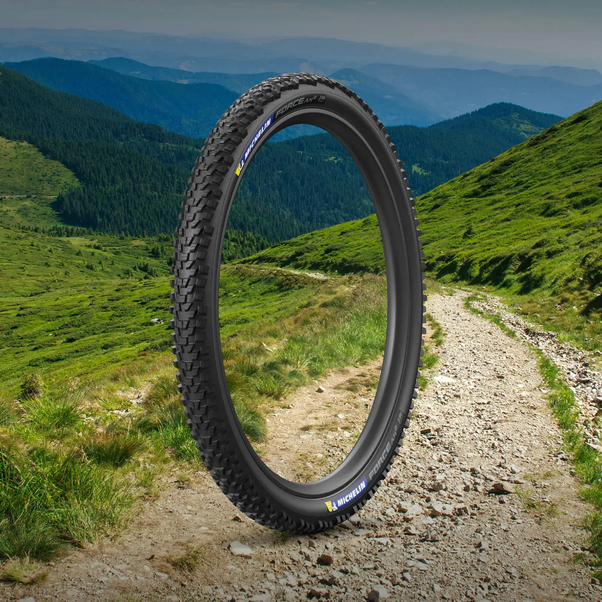 MICHELIN FORCE AM2 COMPETITION LINE | 自転車用タイヤ | 日本