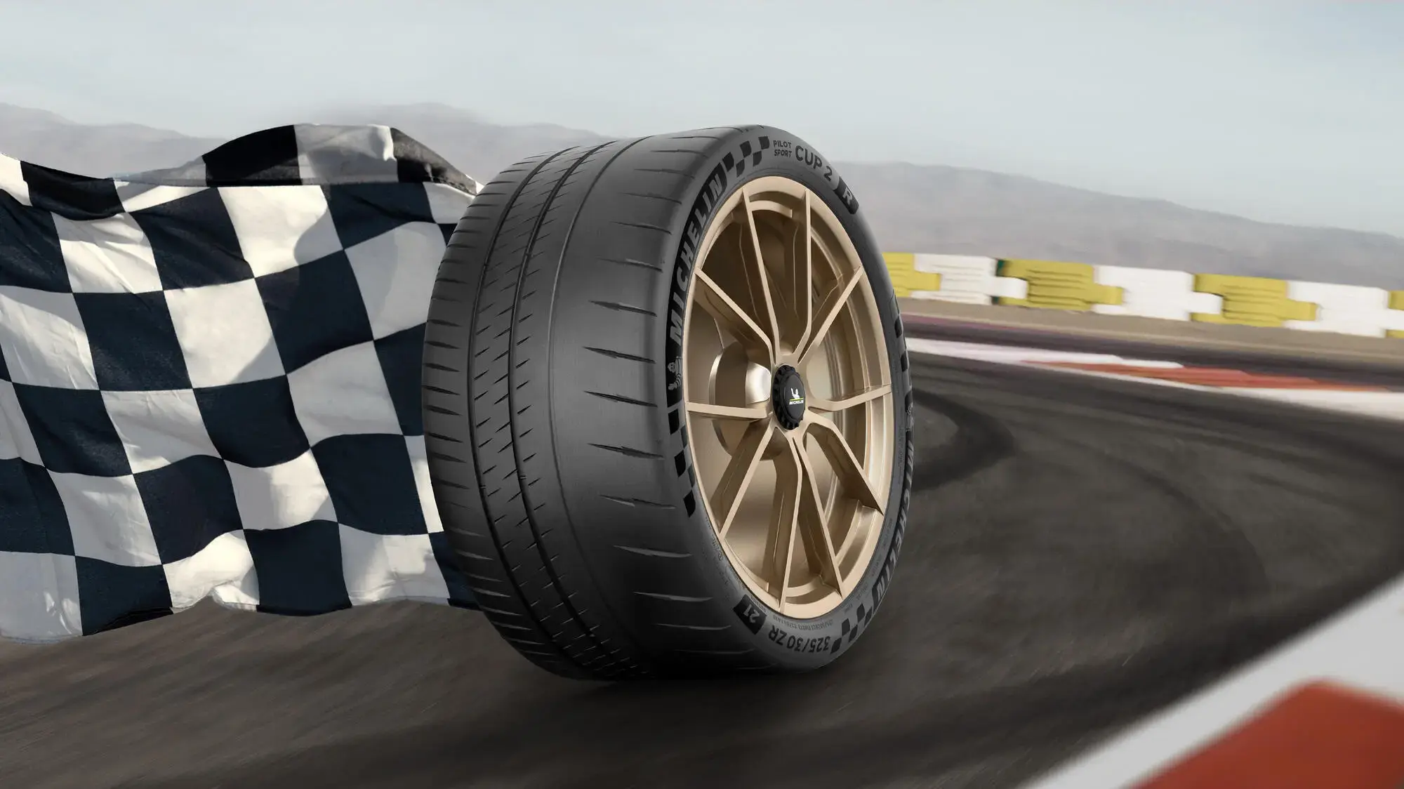 MICHELIN PILOT SPORT CUP 2 R - Vehicle Tires | Michelin USA