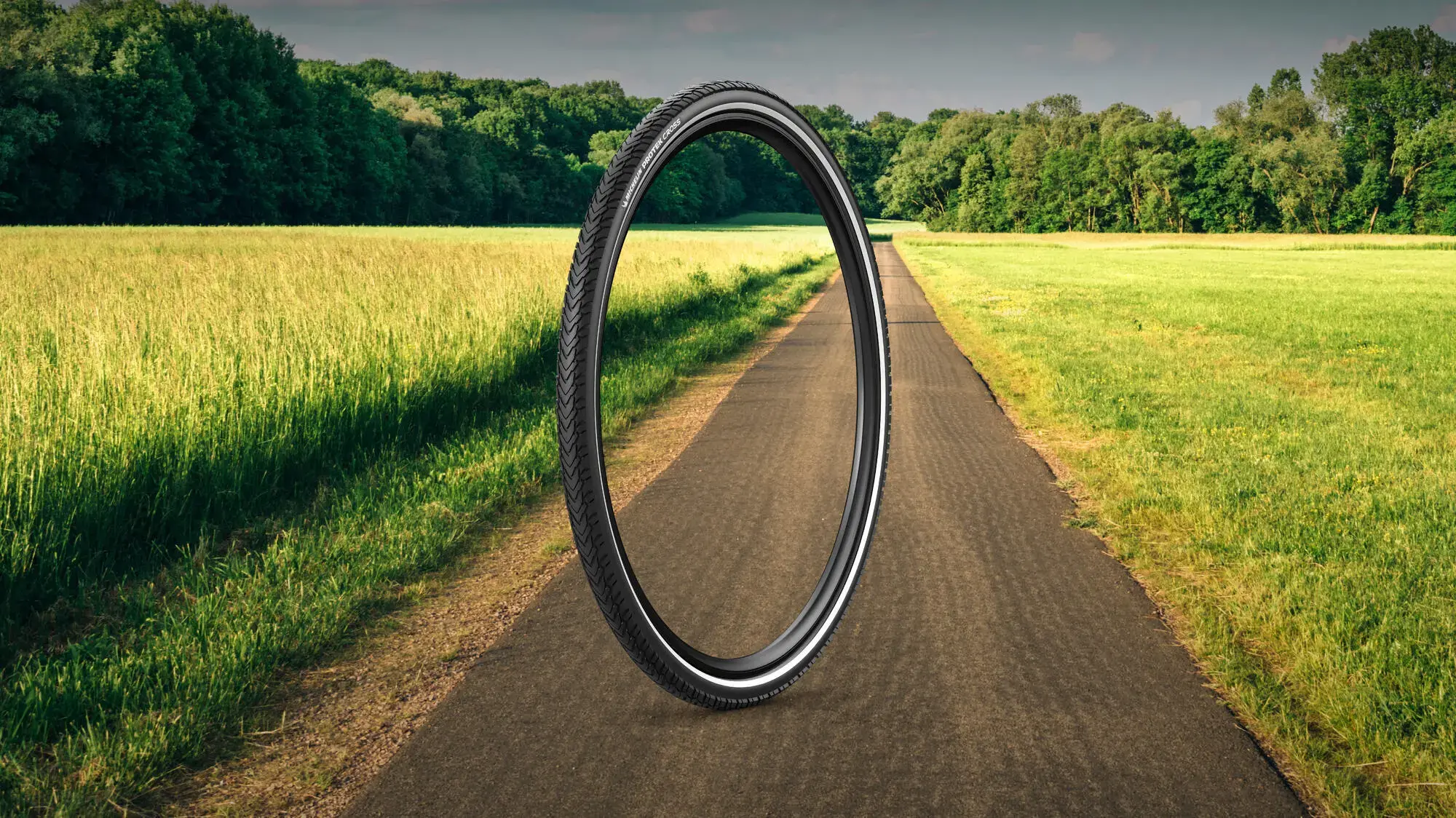 PROTEK CROSS ACCESS LINE Bicycle Tyre MICHELIN