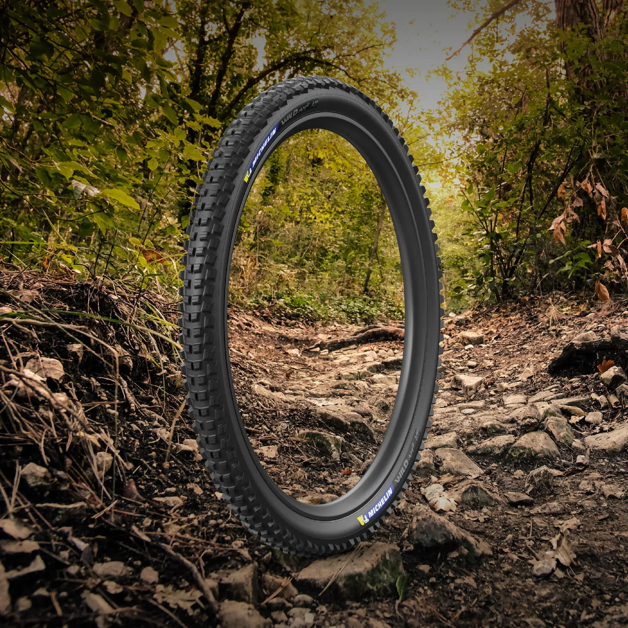 MICHELIN WILD AM2 COMPETITION LINE | 自転車用タイヤ | 日本