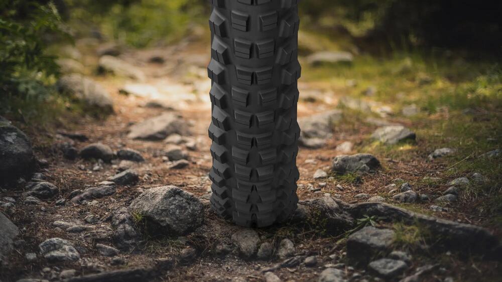 Opona MICHELIN WILD AM2 Przednia i tylna Cechy i zalety-3 16/9