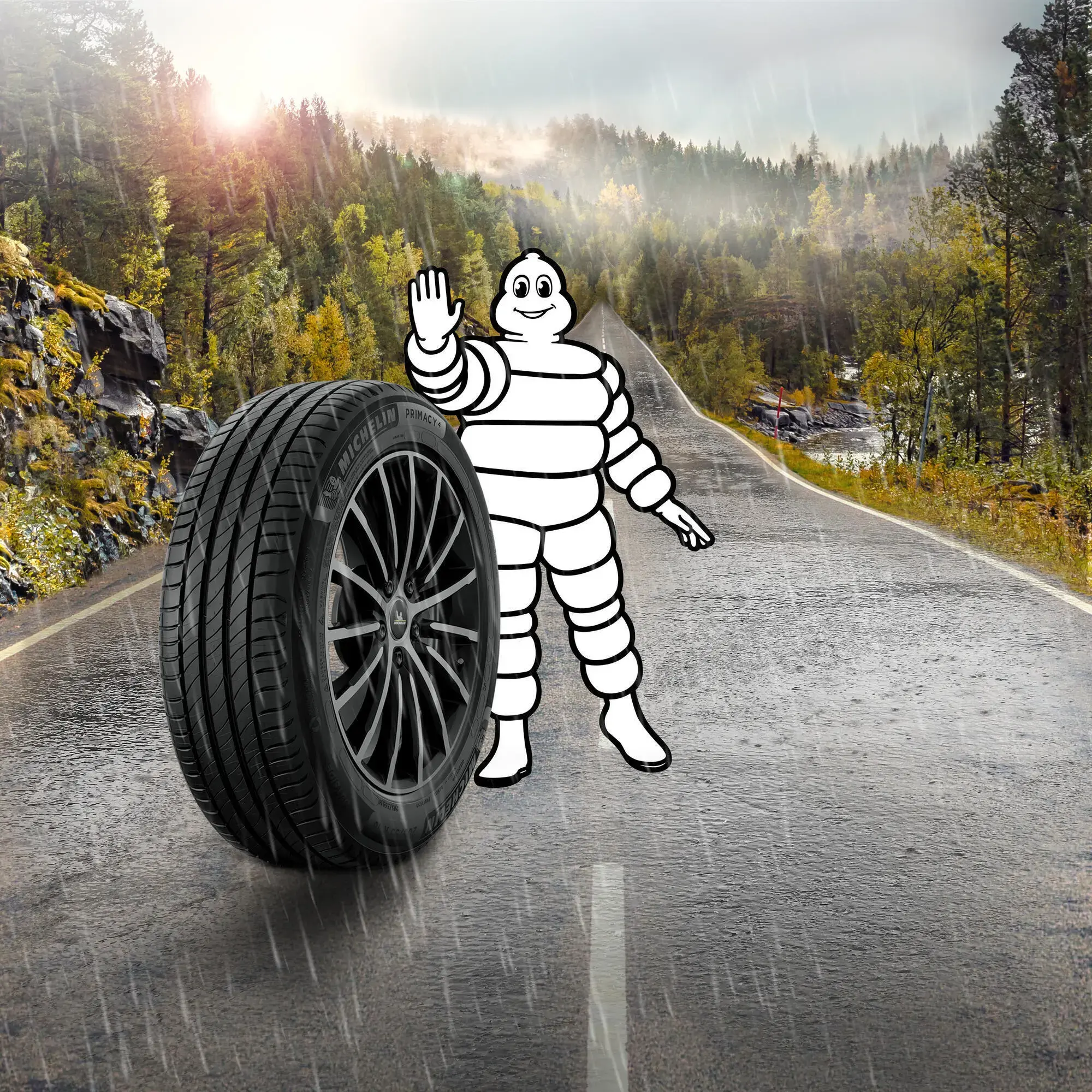 MICHELIN PRIMACY 4 - Car Tyre | Michelin Singapore