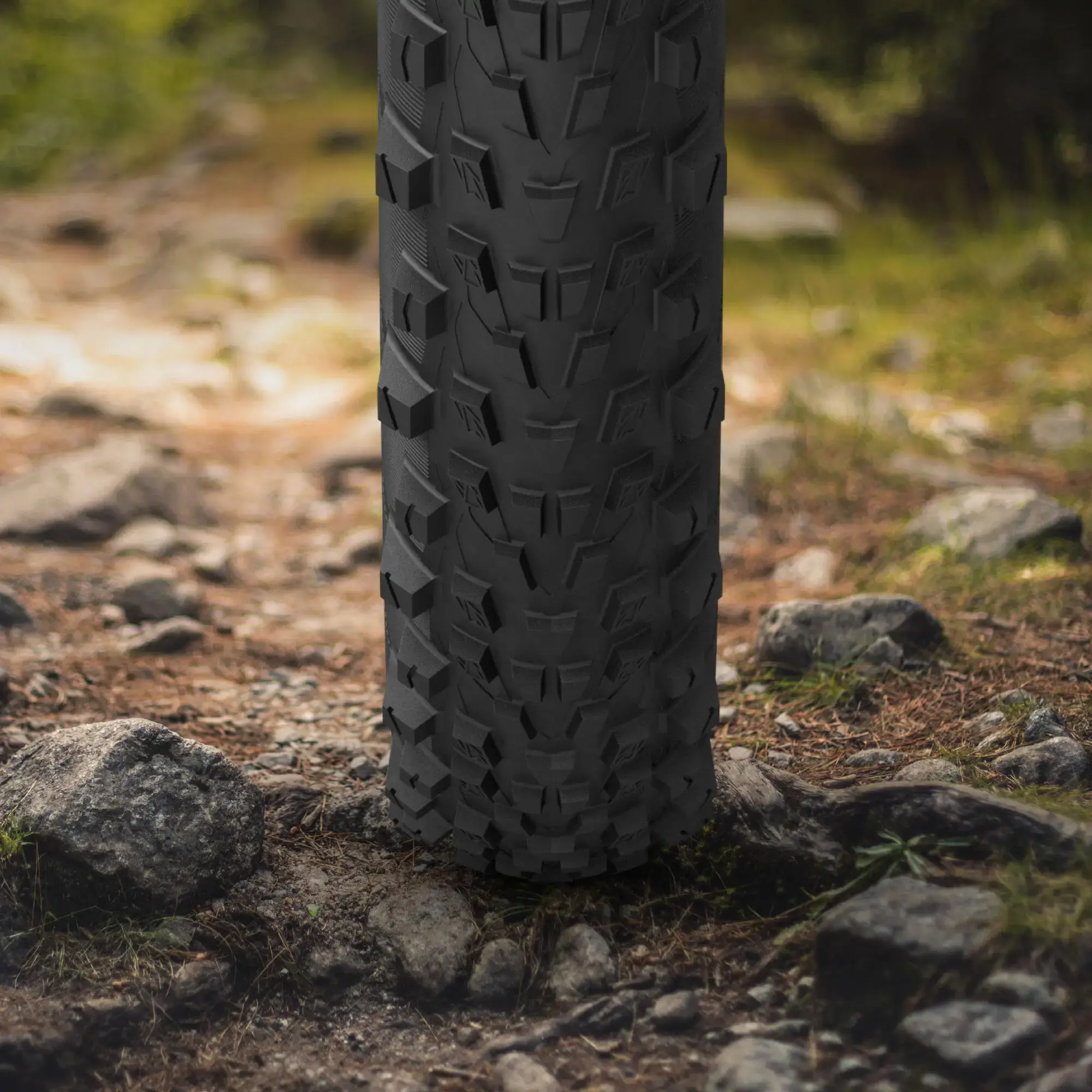FORCE AM PERFORMANCE LINE | Michelin Canada