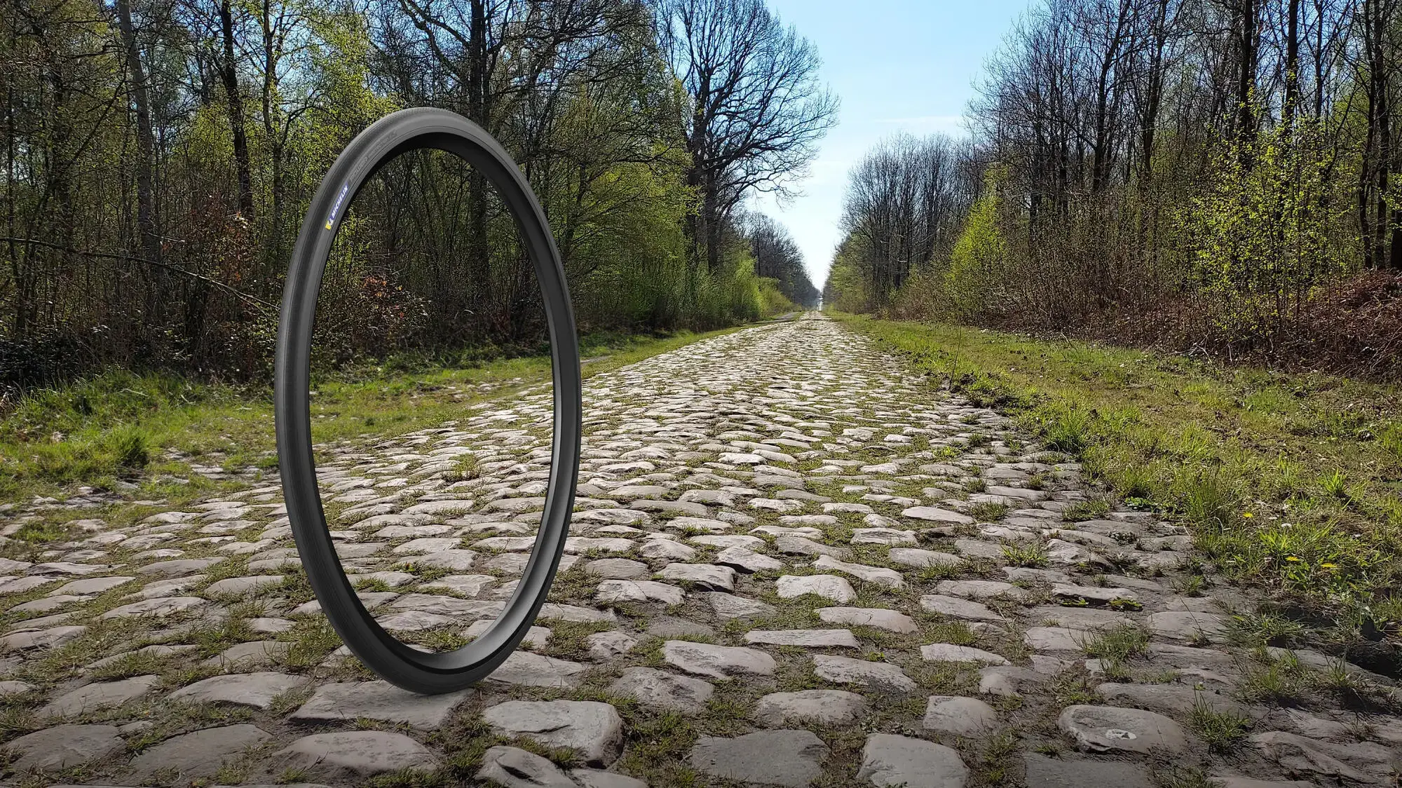 bi-153_tire_michelin_power-